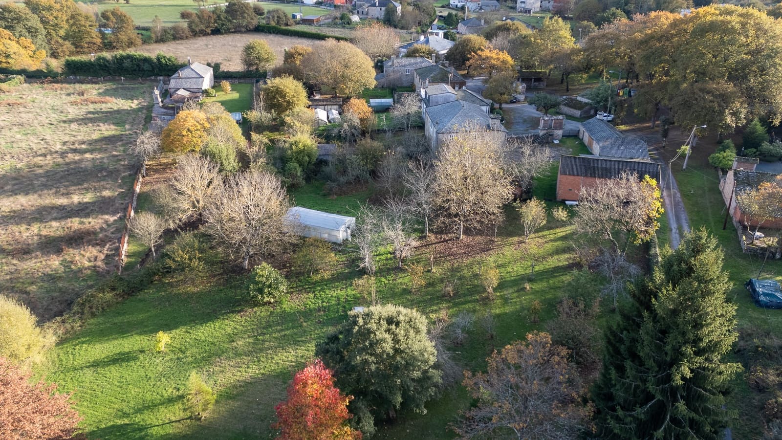 5 sypialnia Finka/Dom wiejski na sprzedaż w Outeiro de Rei - 290 000 € (Ref: 9426587)