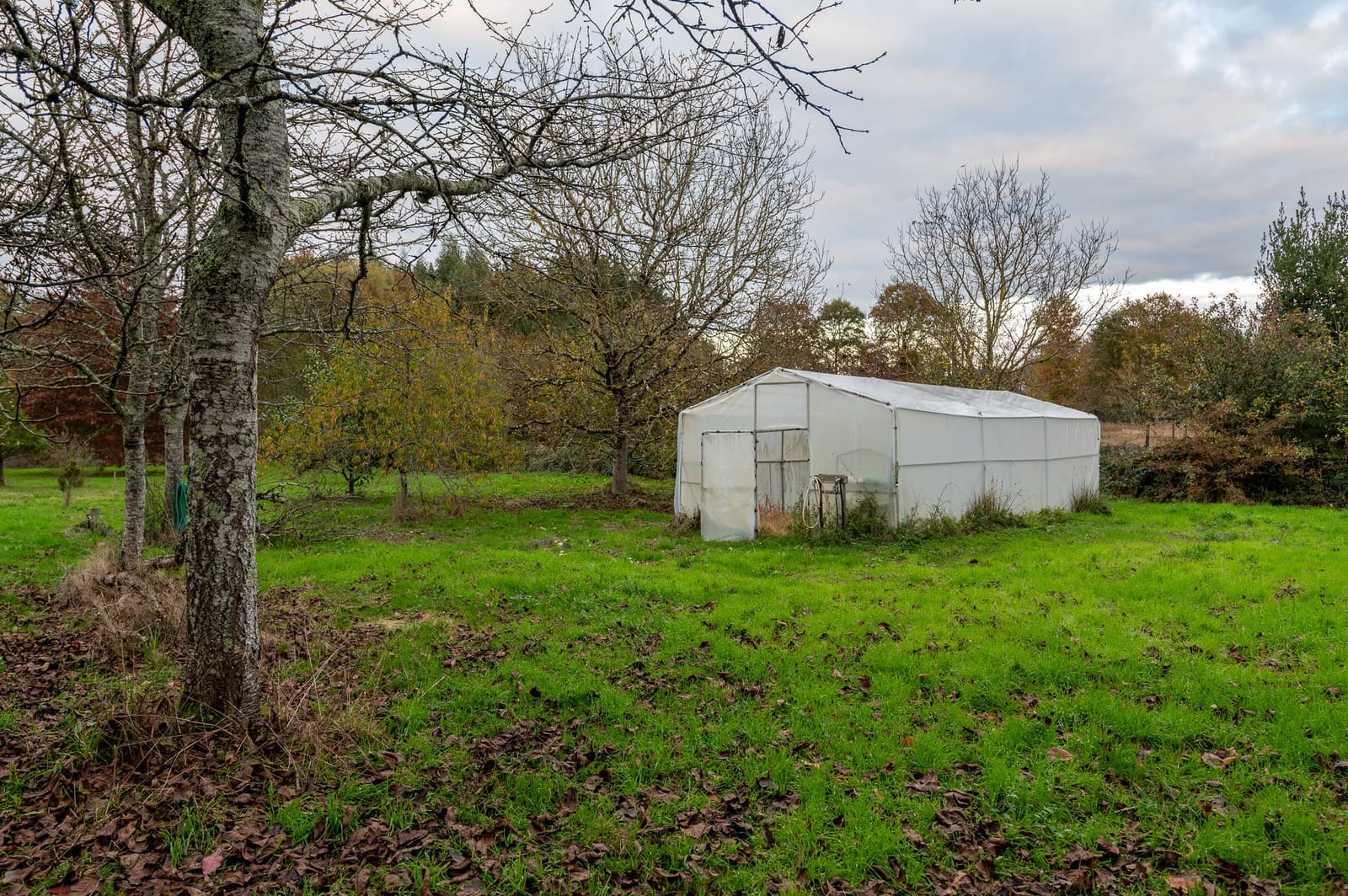 5 sypialnia Finka/Dom wiejski na sprzedaż w Outeiro de Rei - 290 000 € (Ref: 9426587)