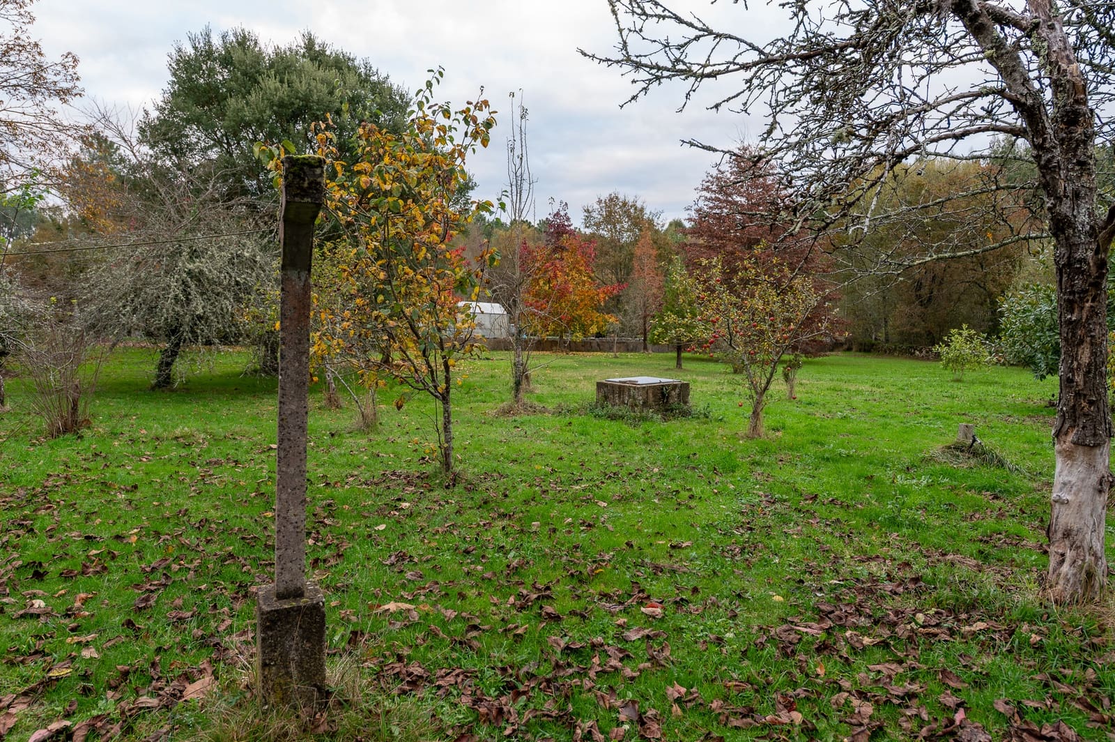 5 sypialnia Finka/Dom wiejski na sprzedaż w Outeiro de Rei - 290 000 € (Ref: 9426587)