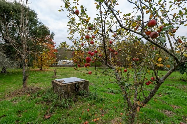 5 sypialnia Finka/Dom wiejski na sprzedaż w Outeiro de Rei - 290 000 € (Ref: 9426587)