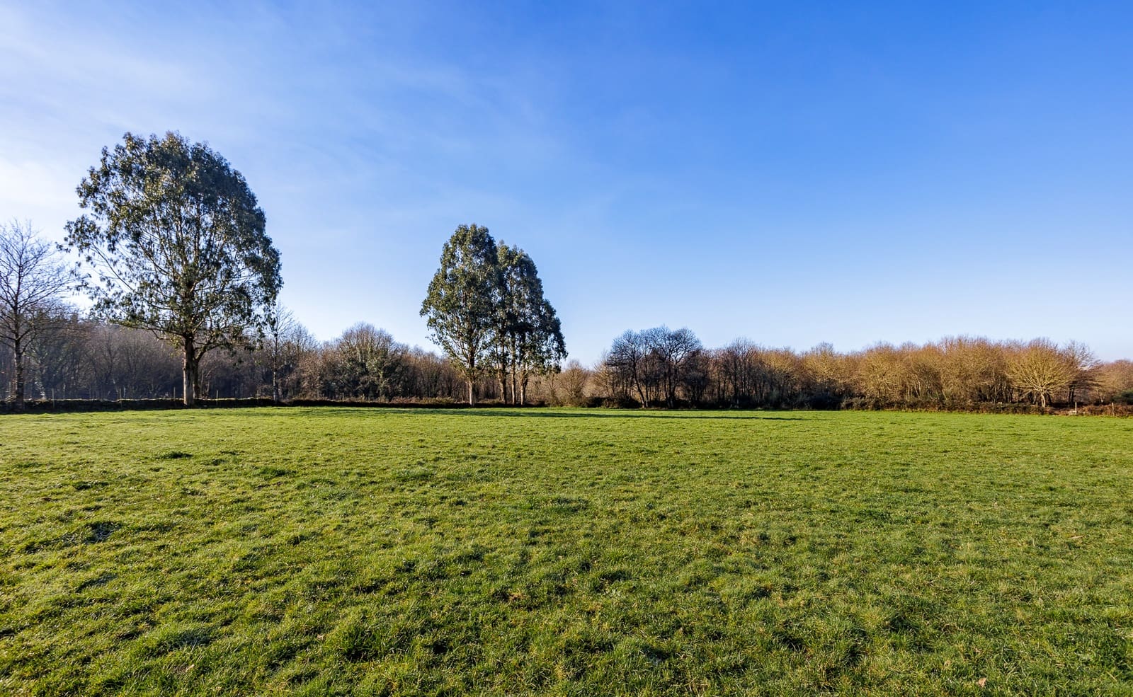 1 soverom Finca/Herregård til salgs i Lugo by - € 300 000 (Ref: 9469824)