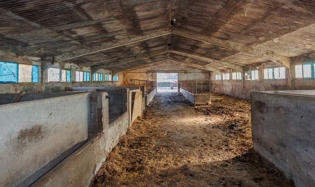 1 chambre Finca/Maison de Campagne à vendre à Lugo ville - 300 000 € (Ref: 9469824)