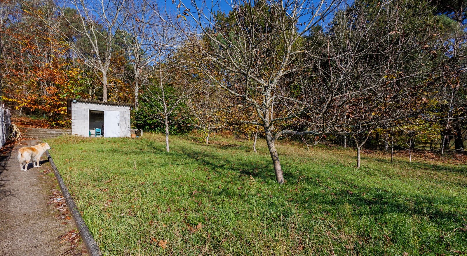 5 sypialnia Biznes na sprzedaż w Boqueixon - 600 000 € (Ref: 9489955)