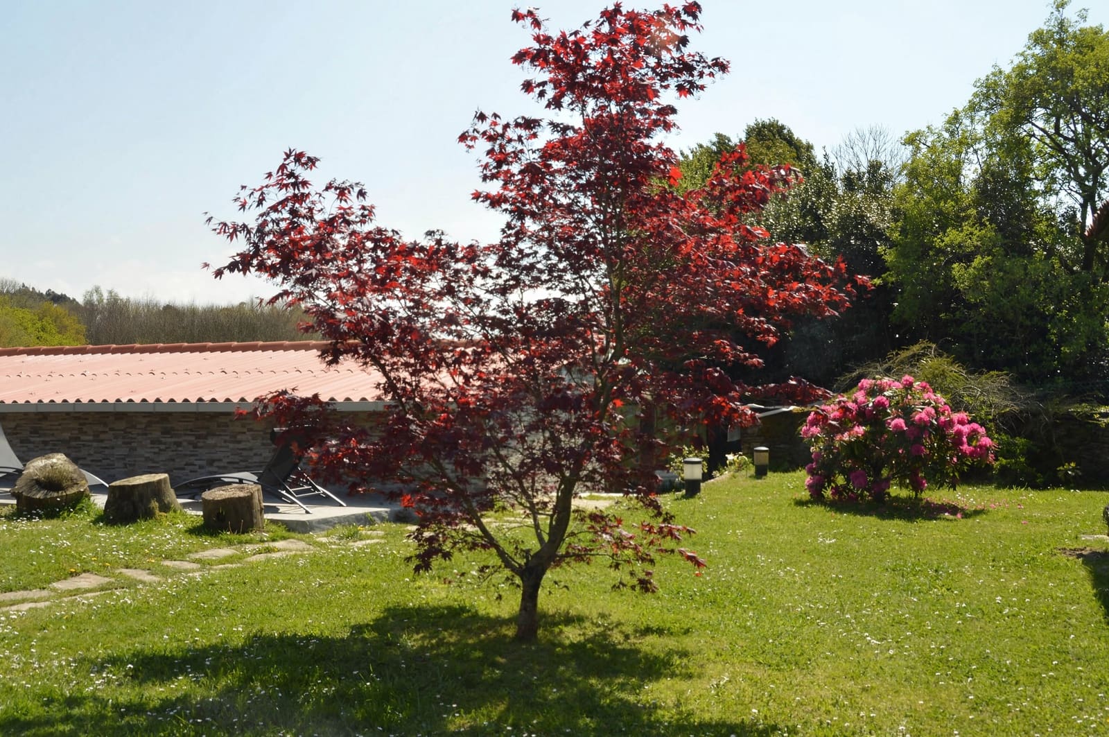 11 slaapkamer Bedrijf te koop in Arzua - € 965.000 (Ref: 9500329)