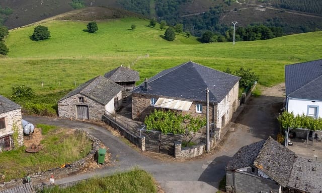 6 soverom Finca/Herregård til salgs i Grandas de Salime - € 160 000 (Ref: 9509988)