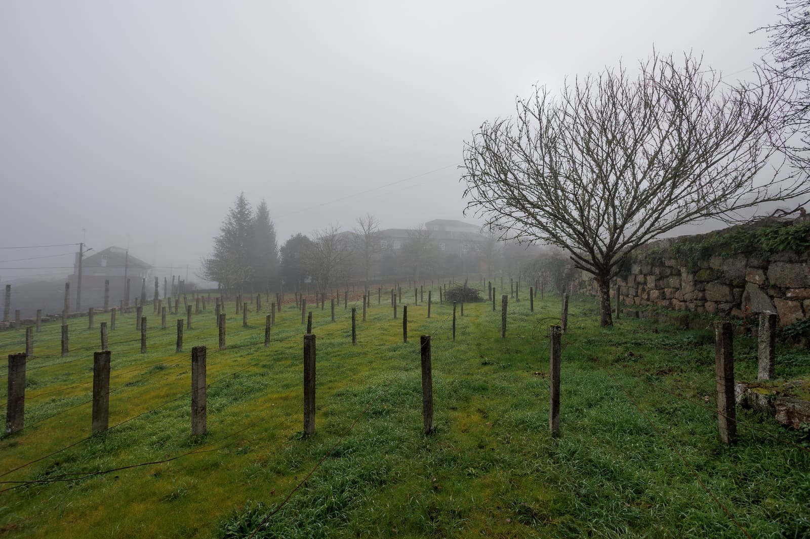 5 camera da letto Finca/Casa di Campagna in vendita in Carballeda de Avia - 249.000 € (Rif: 9534916)