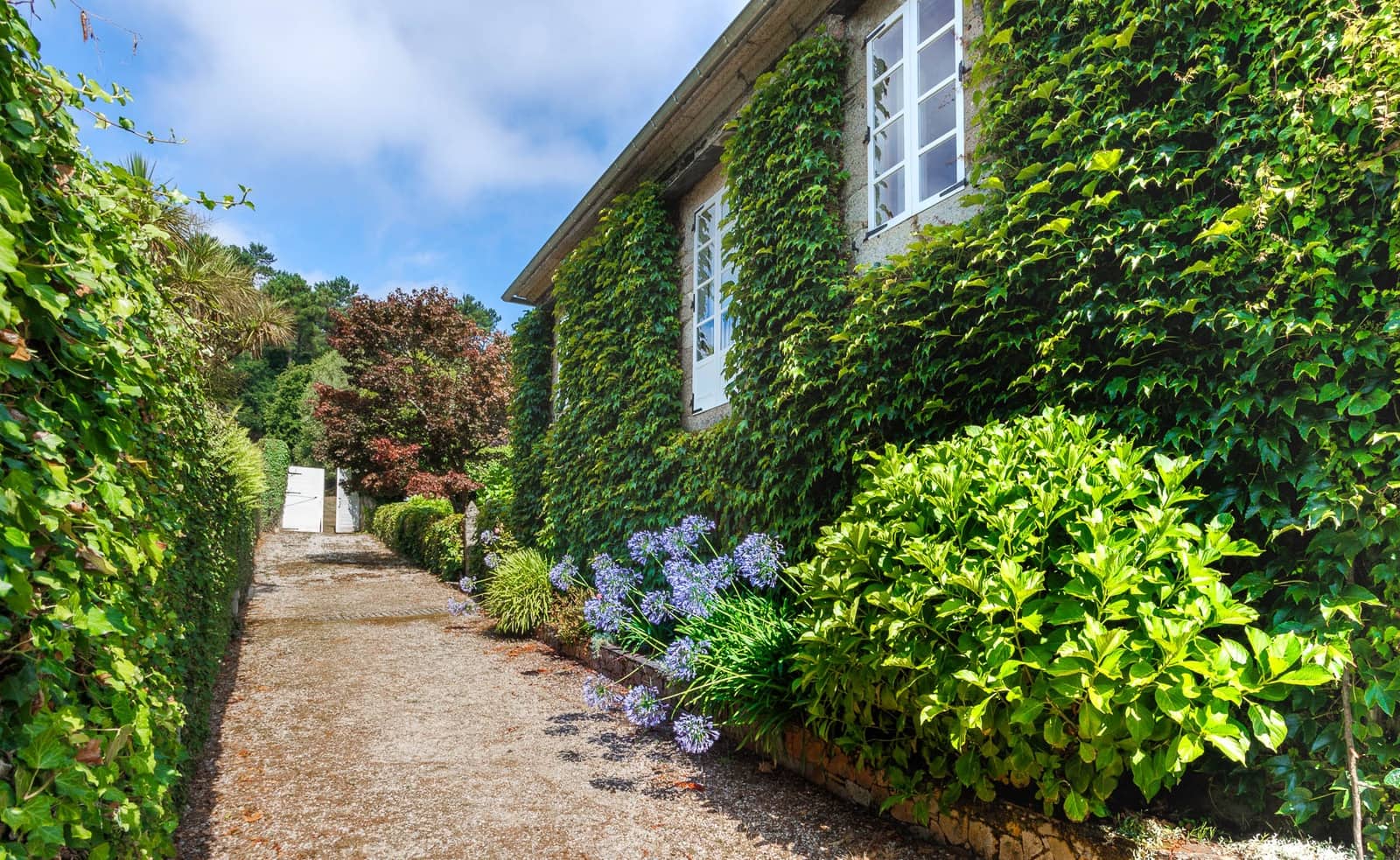 5 bedroom Finca/Country House for sale in Cospeito with pool garage - € 3,500,000 (Ref: 9627962)