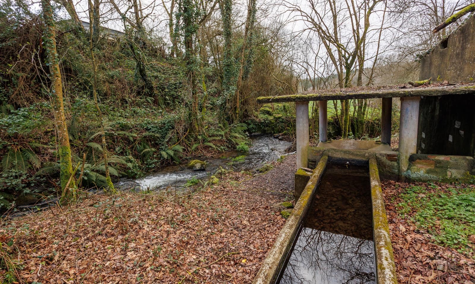 6 slaapkamer Finca/Landhuis te koop in O Corgo met garage - € 115.000 (Ref: 9650403)