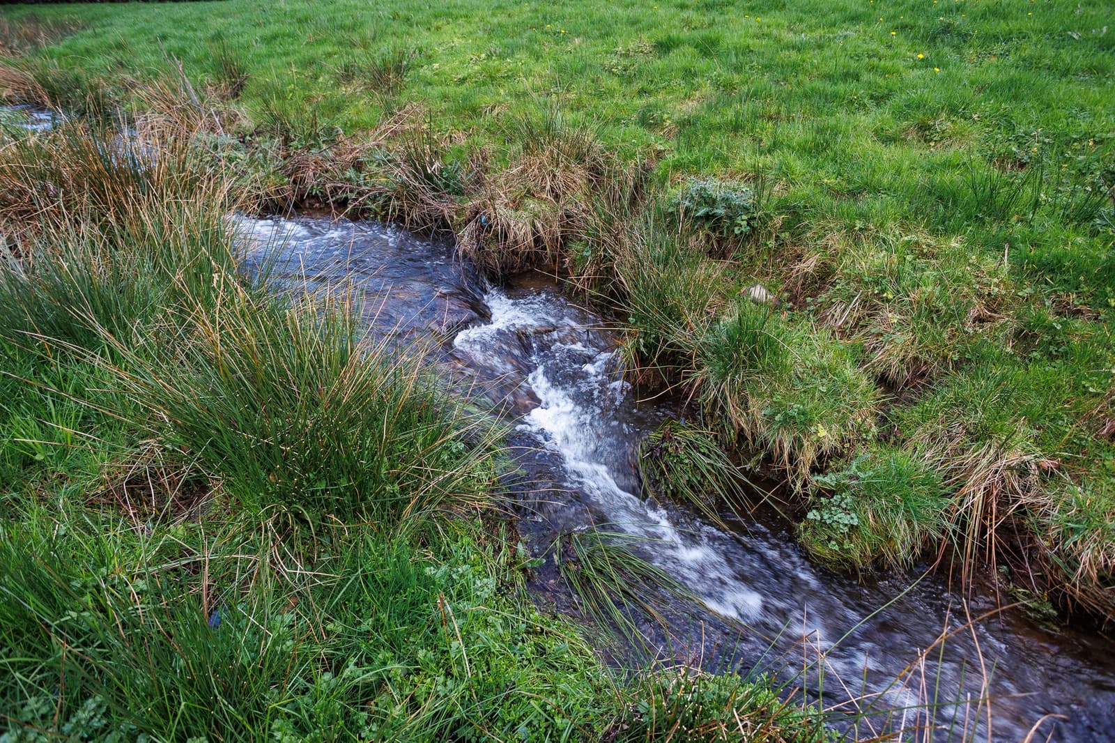 6 slaapkamer Finca/Landhuis te koop in O Corgo met garage - € 115.000 (Ref: 9650403)