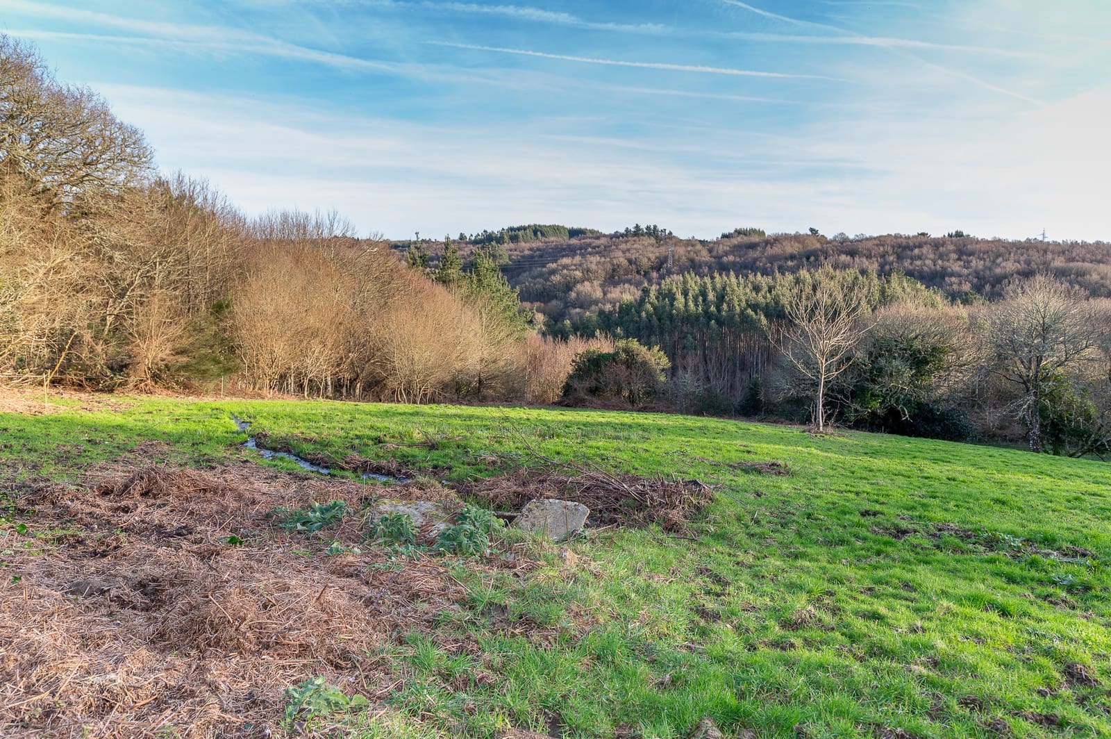 1 chambre Finca/Maison de Campagne à vendre à Vilalba - 50 000 € (Ref: 9653162)