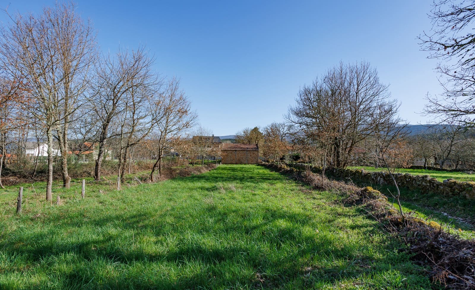 3 bedroom Finca/Country House for sale in Vilar de Barrio - € 75,000 (Ref: 9687473)