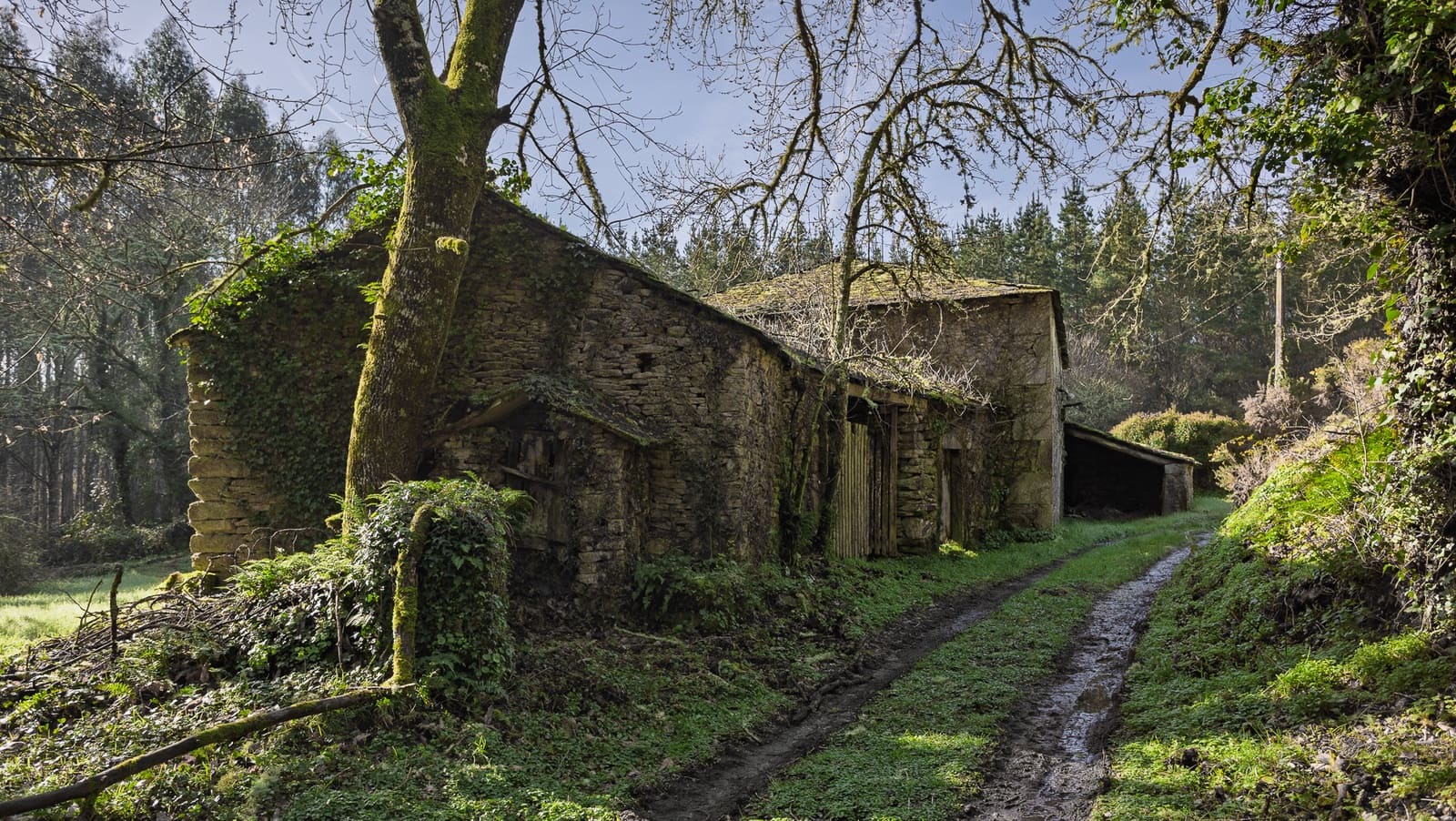 1 soveværelse Finca/Landehus til salg i Outeiro de Rei - € 30.000 (Ref: 9694394)