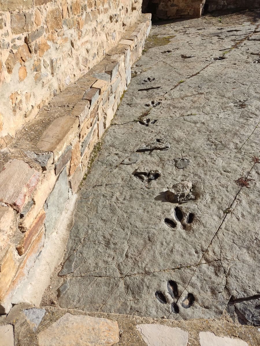 9 bedroom Business for sale in Villar del Rio - € 450,000 (Ref: 9753476)