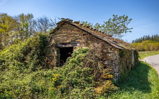 1 makuuhuone Maalaistalo myytävänä paikassa Outeiro de Rei - 90 000 € (Ref: 9802777)