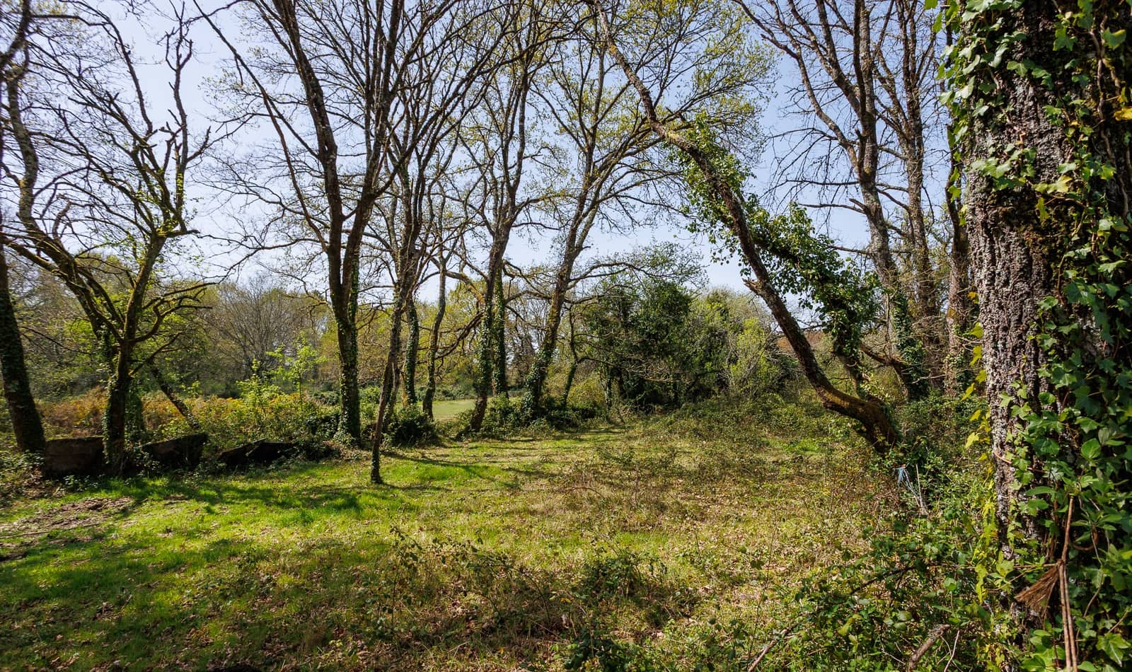 1 makuuhuone Maalaistalo myytävänä paikassa Outeiro de Rei - 90 000 € (Ref: 9802777)