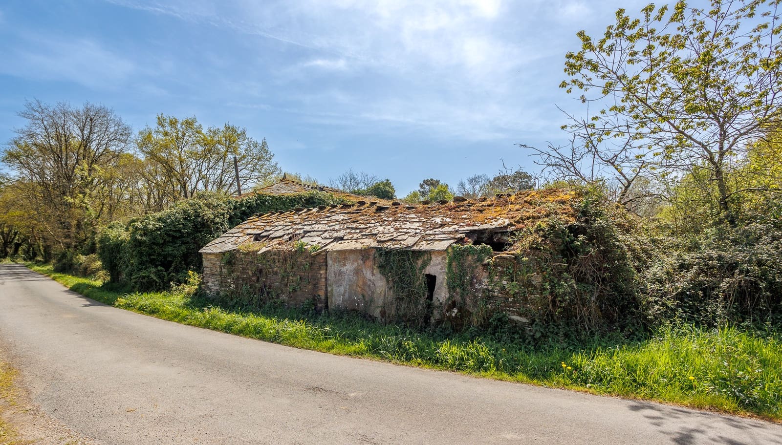 1 makuuhuone Maalaistalo myytävänä paikassa Outeiro de Rei - 90 000 € (Ref: 9802777)