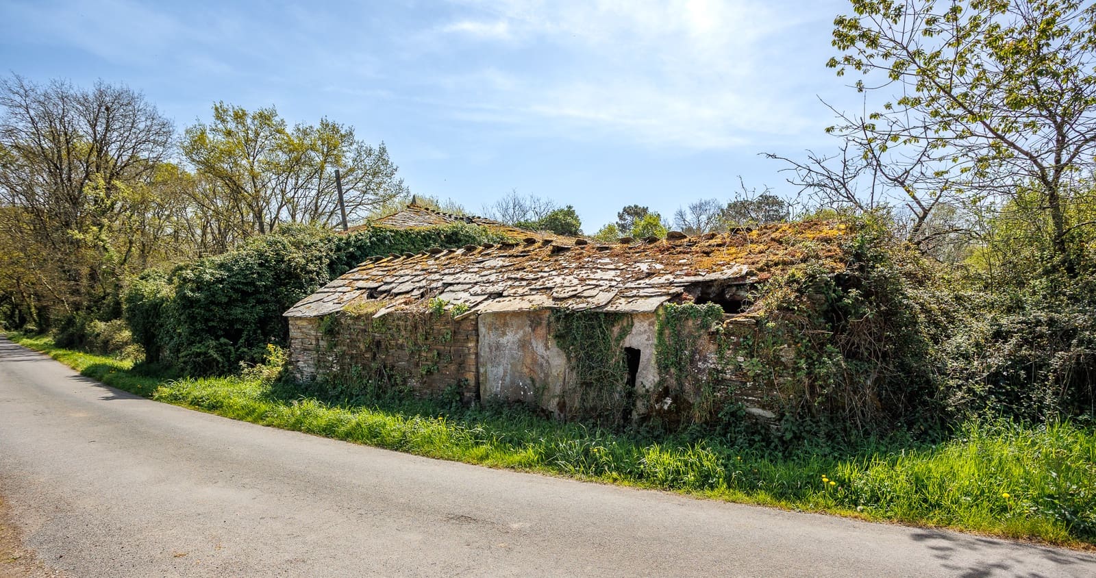 1 makuuhuone Maalaistalo myytävänä paikassa Outeiro de Rei - 90 000 € (Ref: 9802777)