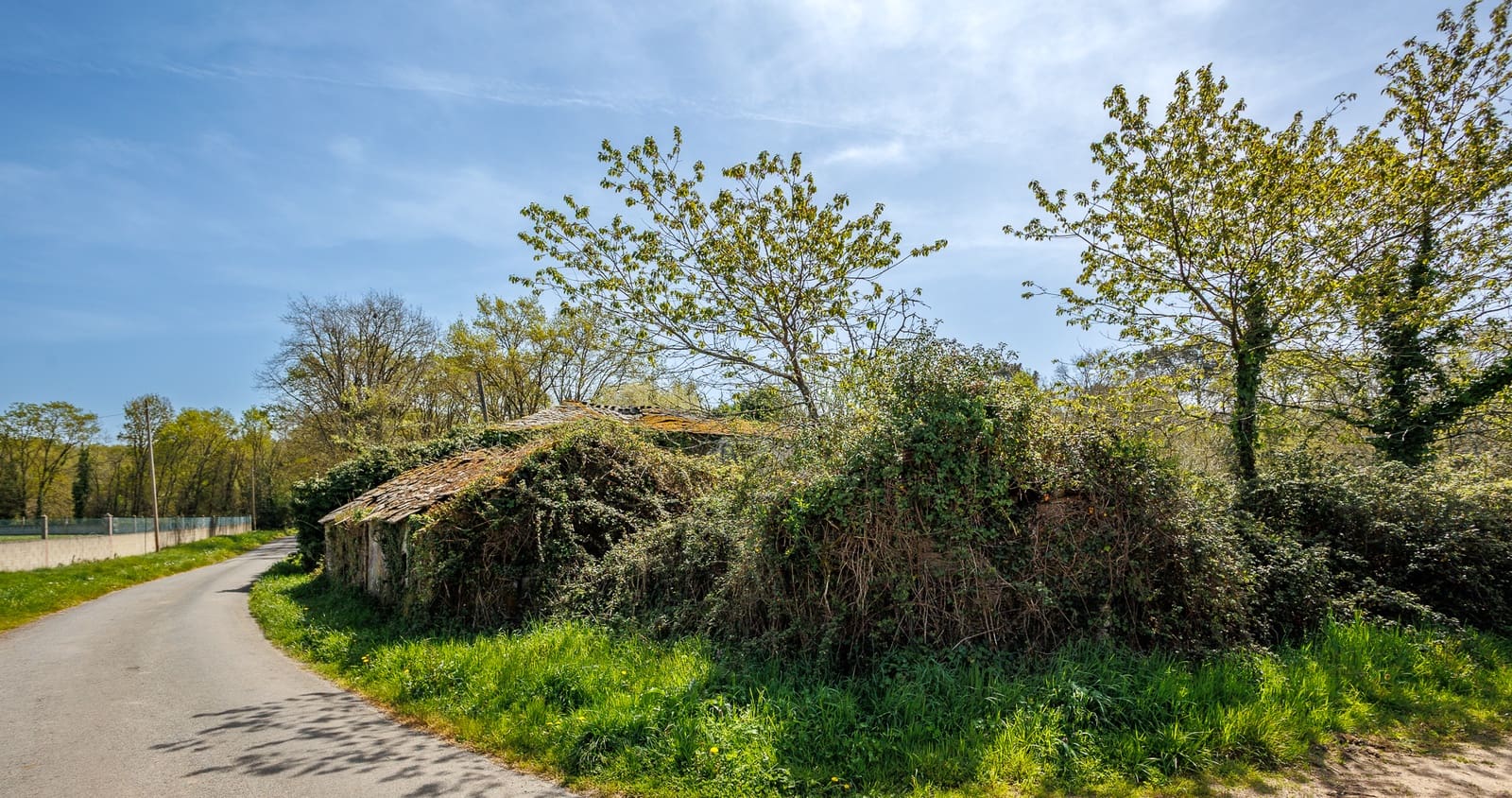 1 makuuhuone Maalaistalo myytävänä paikassa Outeiro de Rei - 90 000 € (Ref: 9802777)