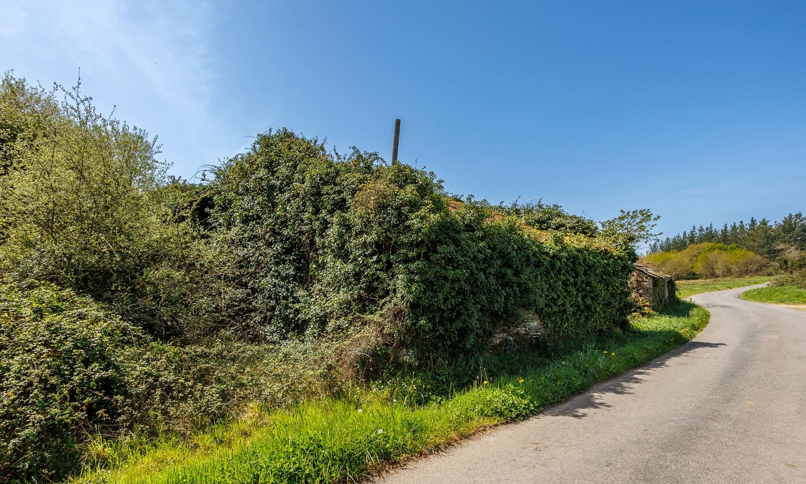 1 makuuhuone Maalaistalo myytävänä paikassa Outeiro de Rei - 90 000 € (Ref: 9802777)