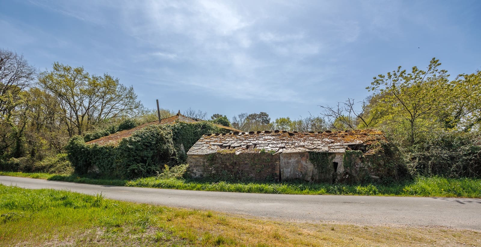 1 makuuhuone Maalaistalo myytävänä paikassa Outeiro de Rei - 90 000 € (Ref: 9802777)