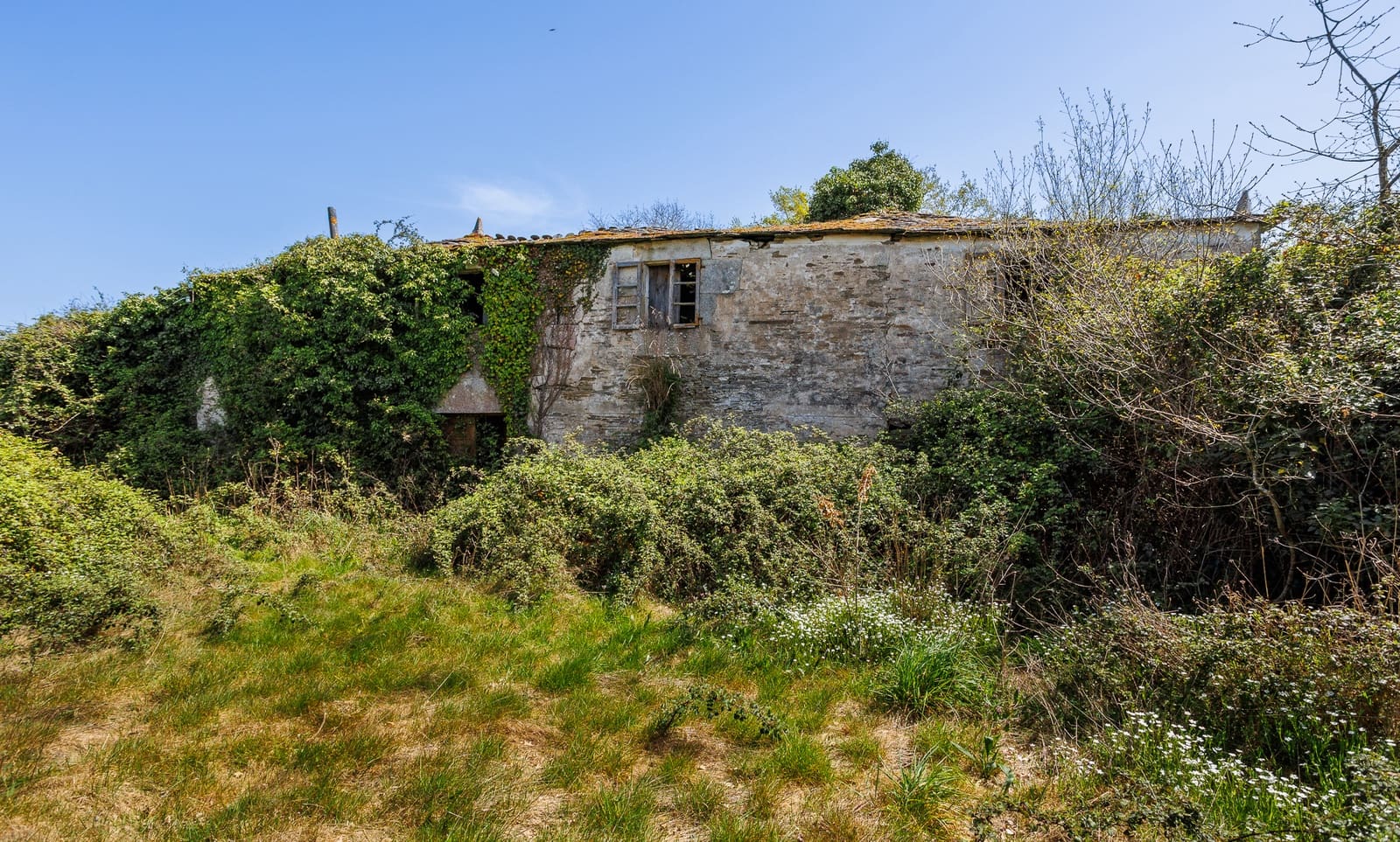 1 makuuhuone Maalaistalo myytävänä paikassa Outeiro de Rei - 90 000 € (Ref: 9802777)