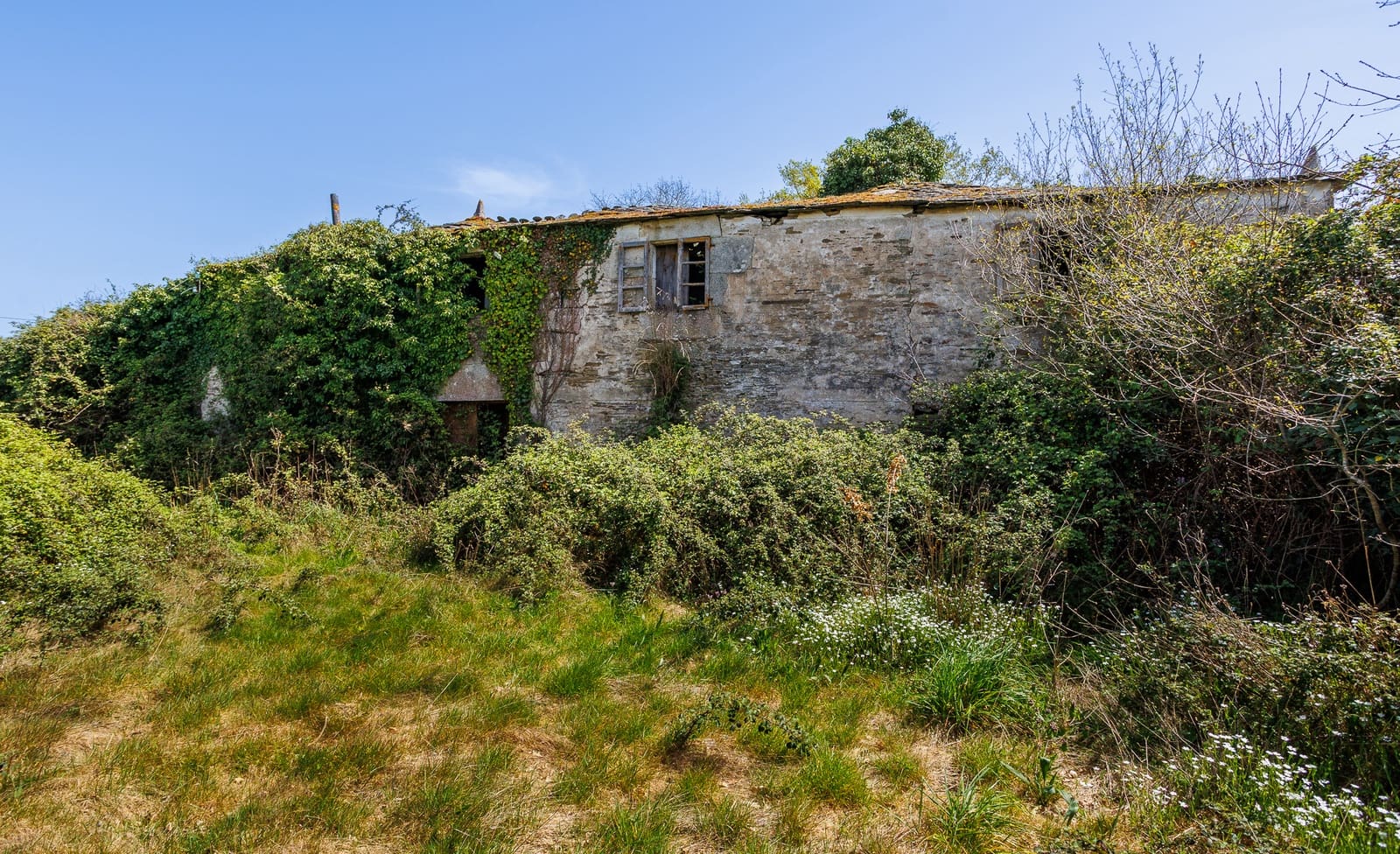 1 makuuhuone Maalaistalo myytävänä paikassa Outeiro de Rei - 90 000 € (Ref: 9802777)