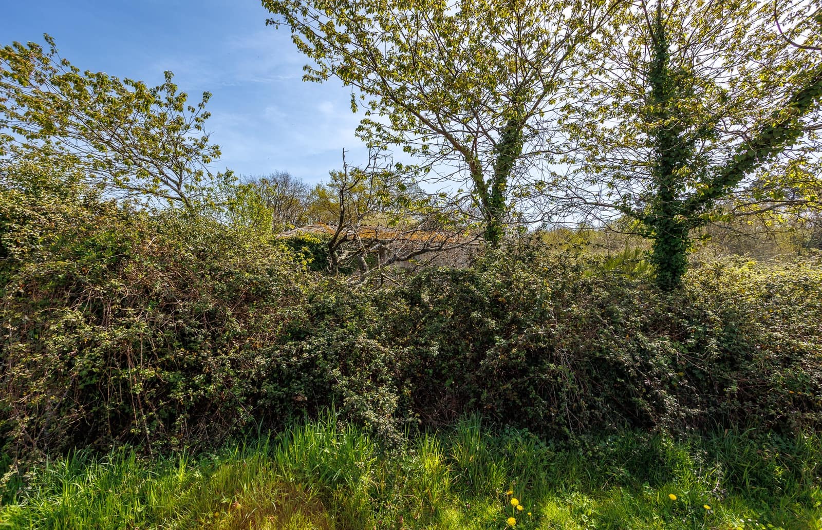 1 makuuhuone Maalaistalo myytävänä paikassa Outeiro de Rei - 90 000 € (Ref: 9802777)