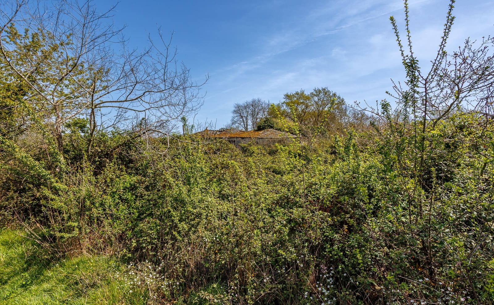 1 makuuhuone Maalaistalo myytävänä paikassa Outeiro de Rei - 90 000 € (Ref: 9802777)