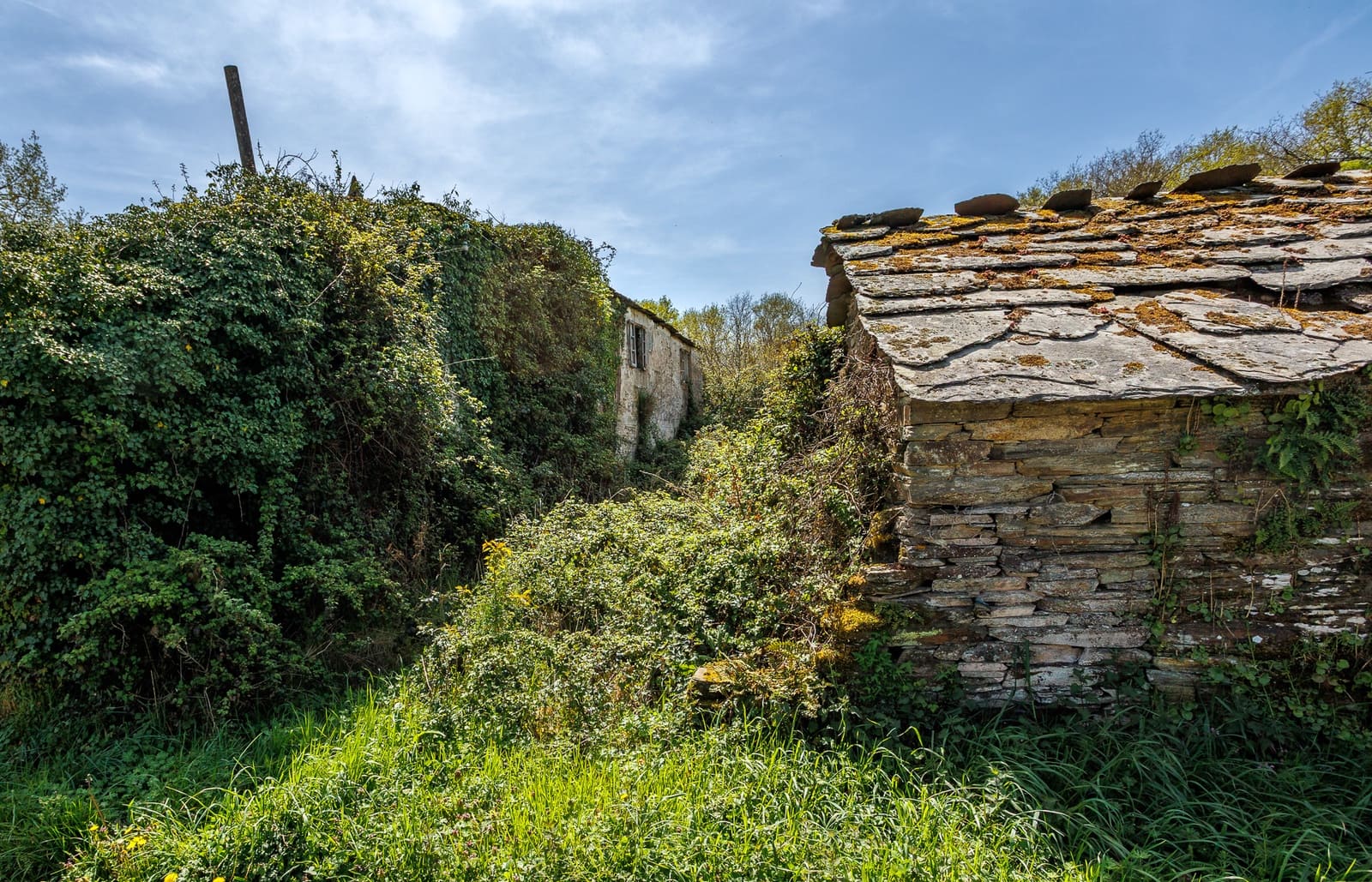 1 makuuhuone Maalaistalo myytävänä paikassa Outeiro de Rei - 90 000 € (Ref: 9802777)