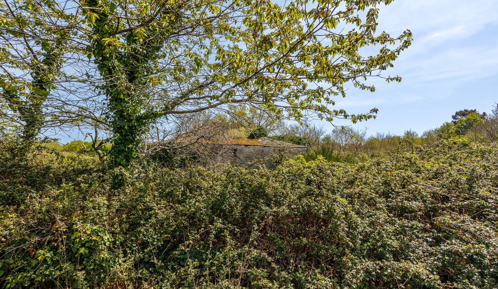 1 makuuhuone Maalaistalo myytävänä paikassa Outeiro de Rei - 90 000 € (Ref: 9802777)