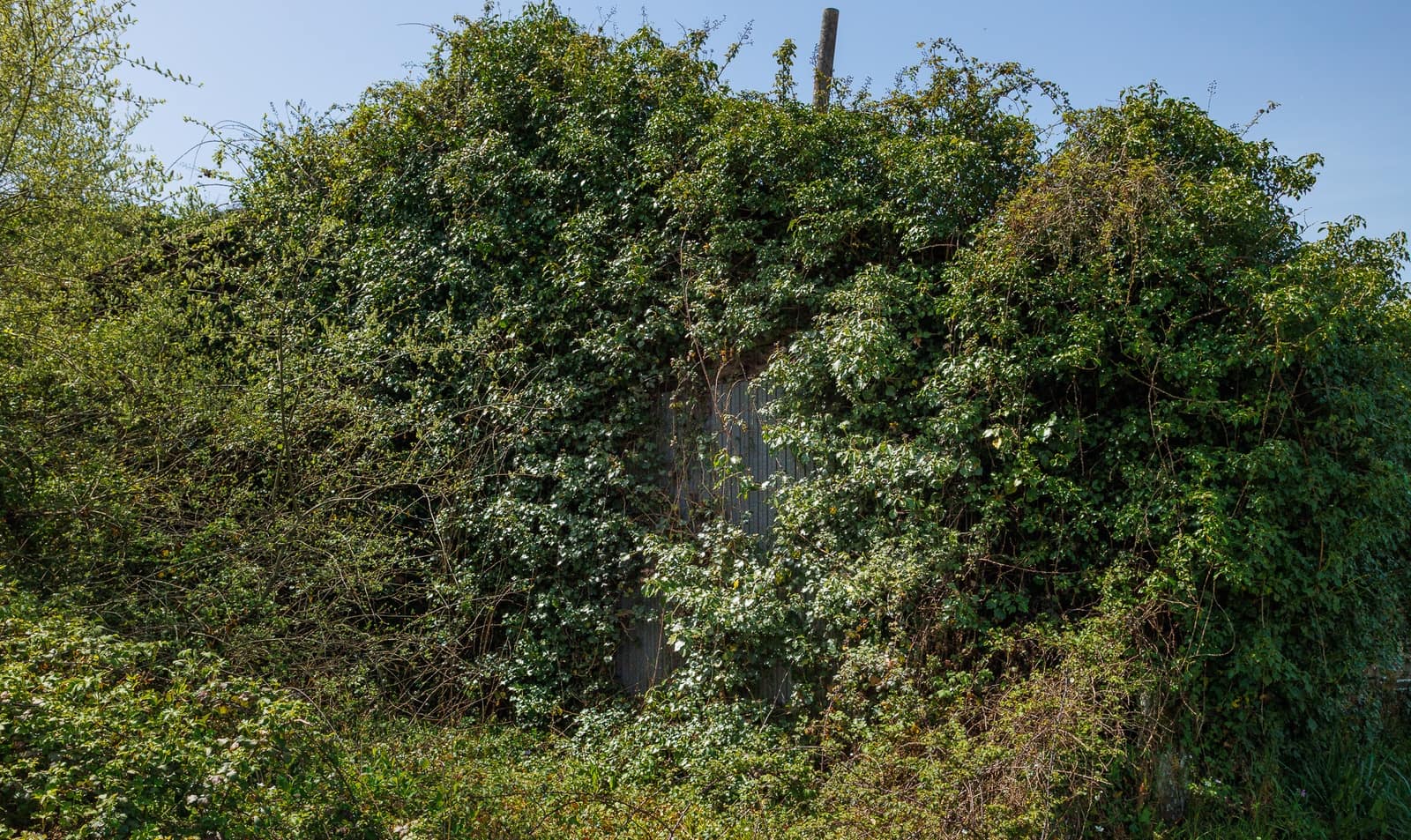 1 makuuhuone Maalaistalo myytävänä paikassa Outeiro de Rei - 90 000 € (Ref: 9802777)