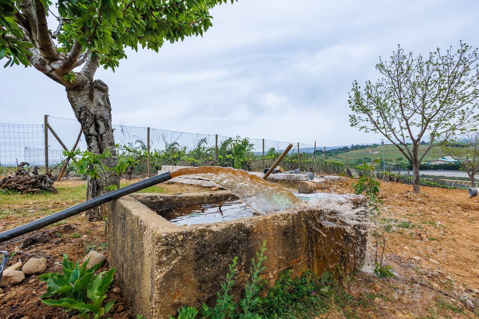 1 camera da letto Azienda in vendita in Camponaraya - 1.500.000 € (Rif: 9819146)