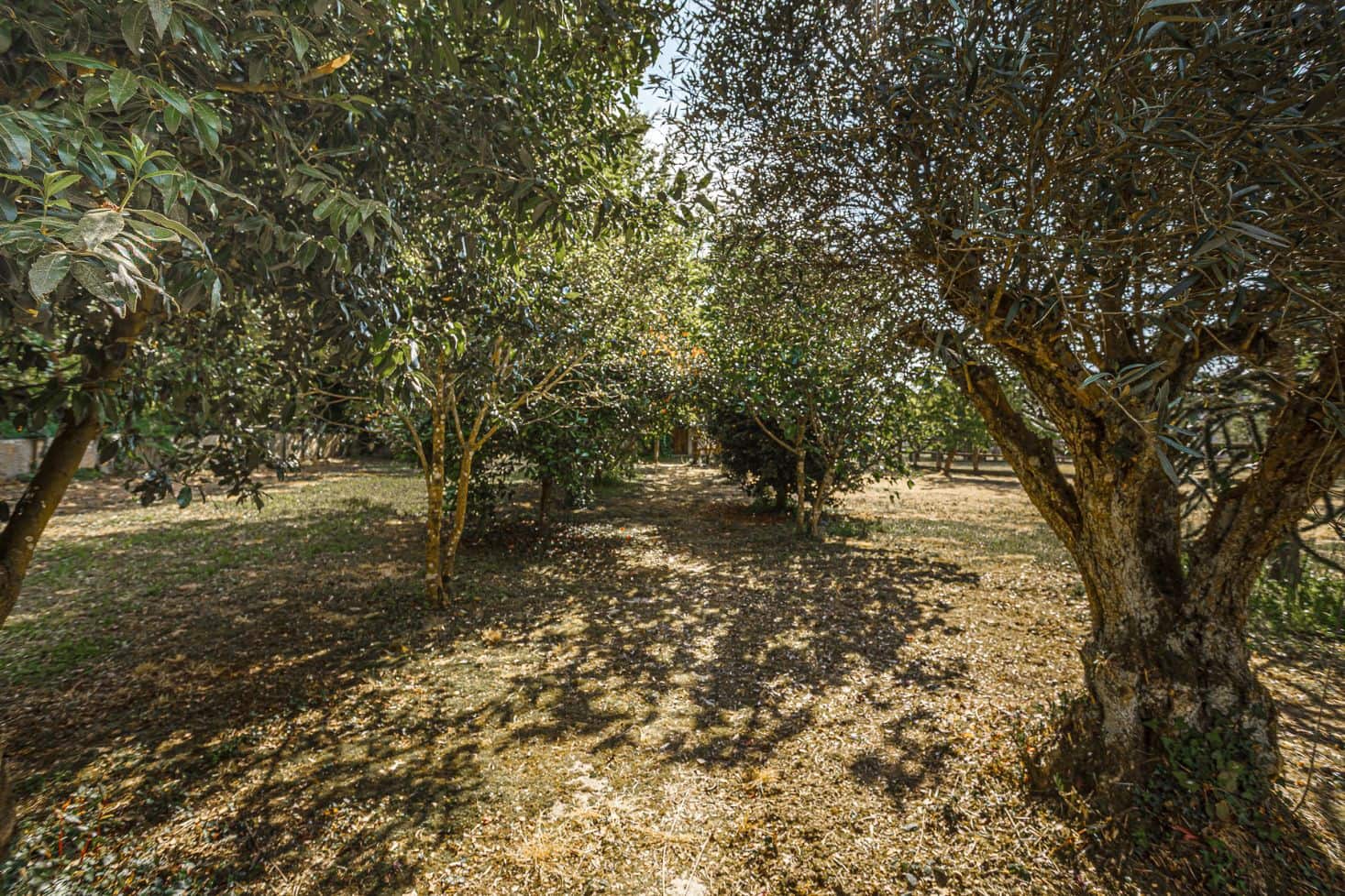 1 camera da letto Finca/Casa di Campagna in vendita in Cospeito - 240.000 € (Rif: 9877081)