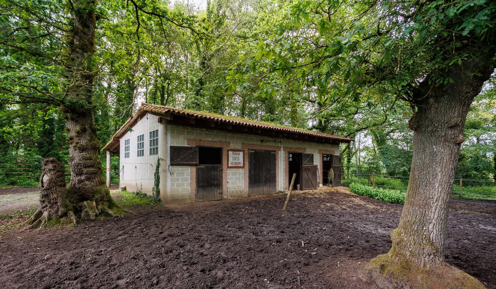1 camera da letto Finca/Casa di Campagna in vendita in Cospeito - 240.000 € (Rif: 9877081)