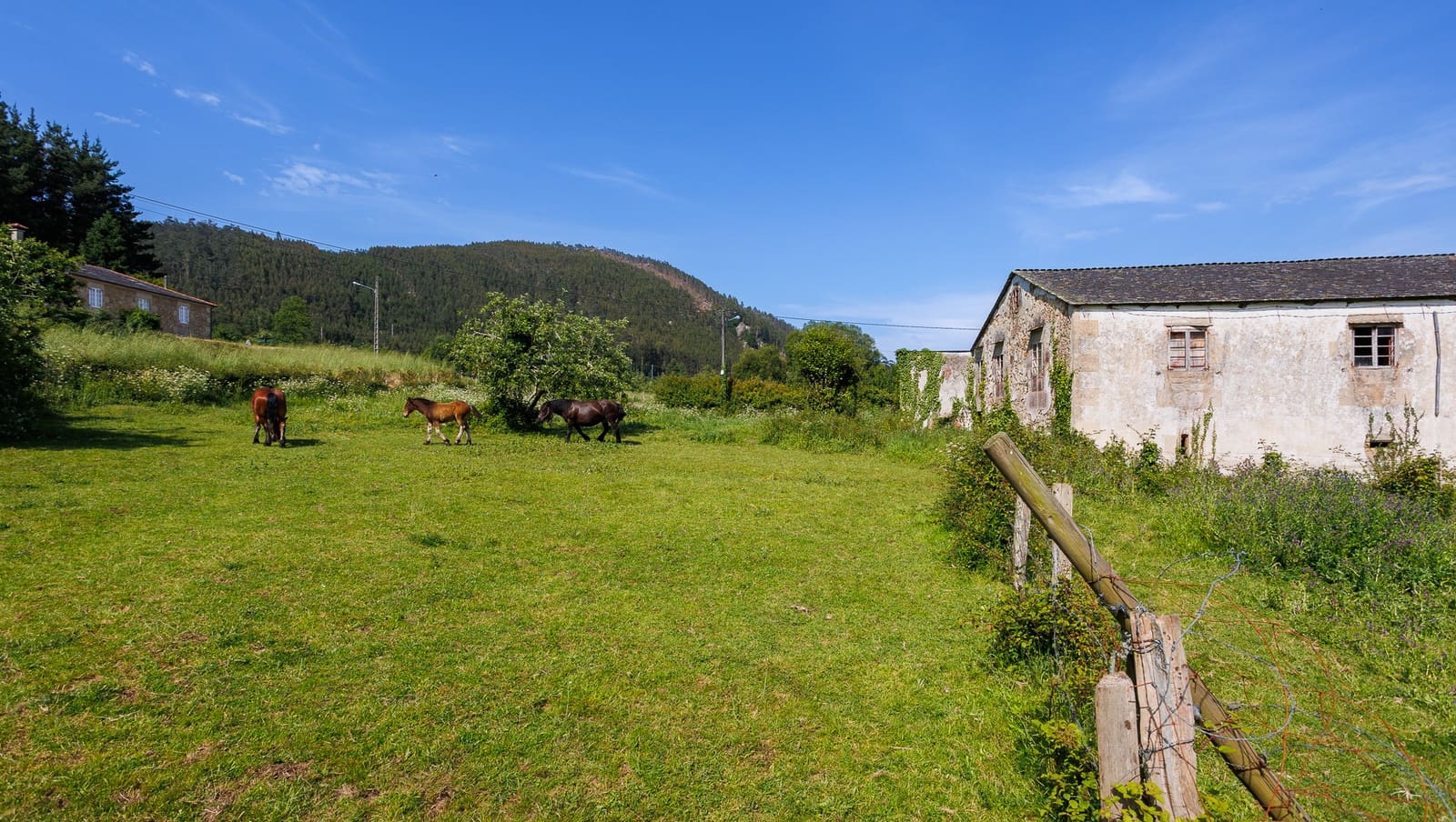 1 quarto Quinta/Casa Rural para venda em Ourol com garagem - 130 000 € (Ref: 9895254)