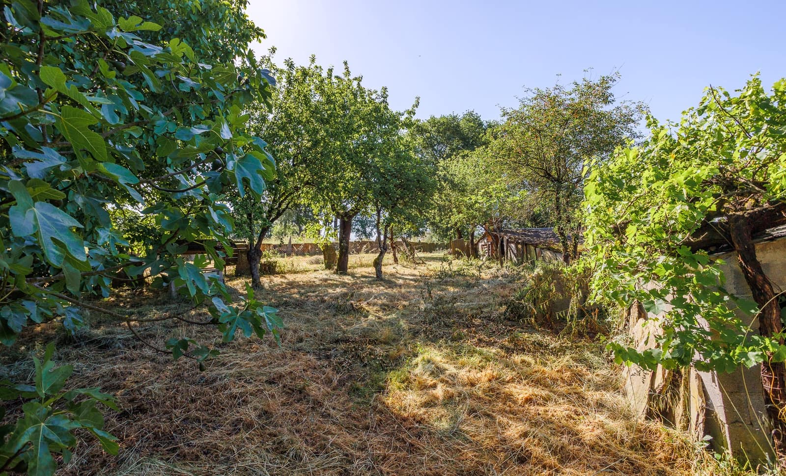 4 camera da letto Finca/Casa di Campagna in vendita in O Incio con garage - 170.000 € (Rif: 9911810)