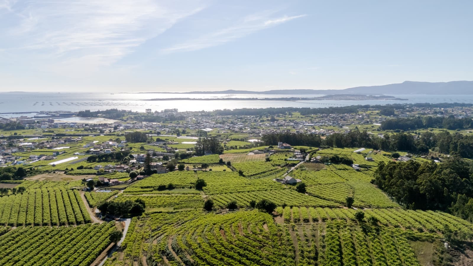 6 soveværelse Finca/Landehus til salg i Cambados med garage - € 595.000 (Ref: 9941172)