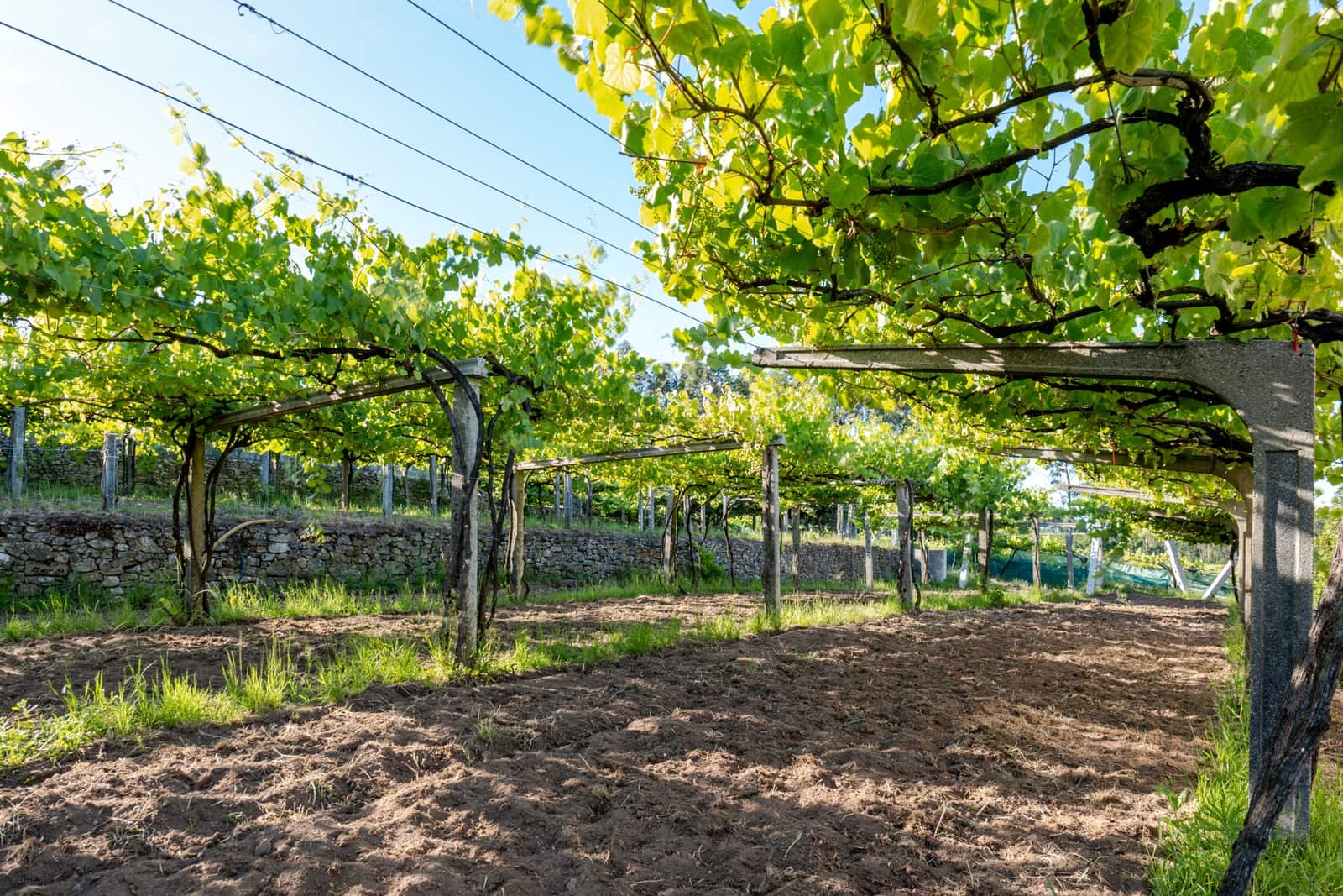 6 soveværelse Finca/Landehus til salg i Cambados med garage - € 595.000 (Ref: 9941172)