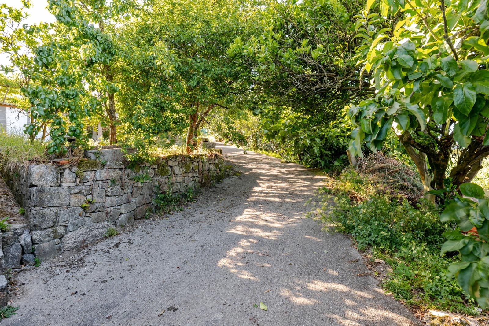 6 soveværelse Finca/Landehus til salg i Cambados med garage - € 595.000 (Ref: 9941172)