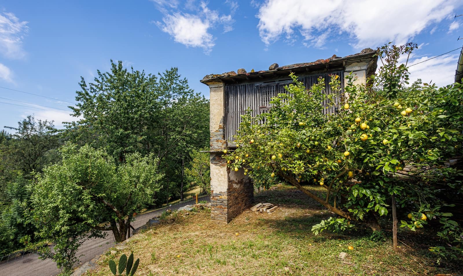 12 bedroom Villa for sale in A Pontenova - € 1,600,000 (Ref: 9983316)