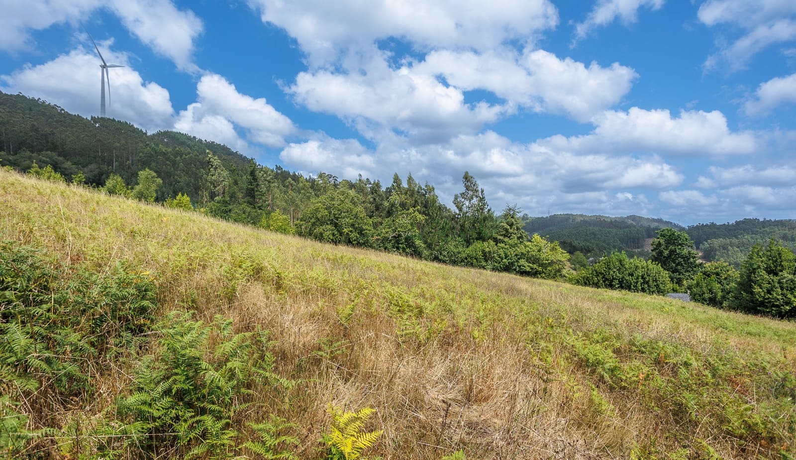 Finca/Casa Rural de 1 habitación en Ourol en venta - 50.000 € (Ref: 9985642)