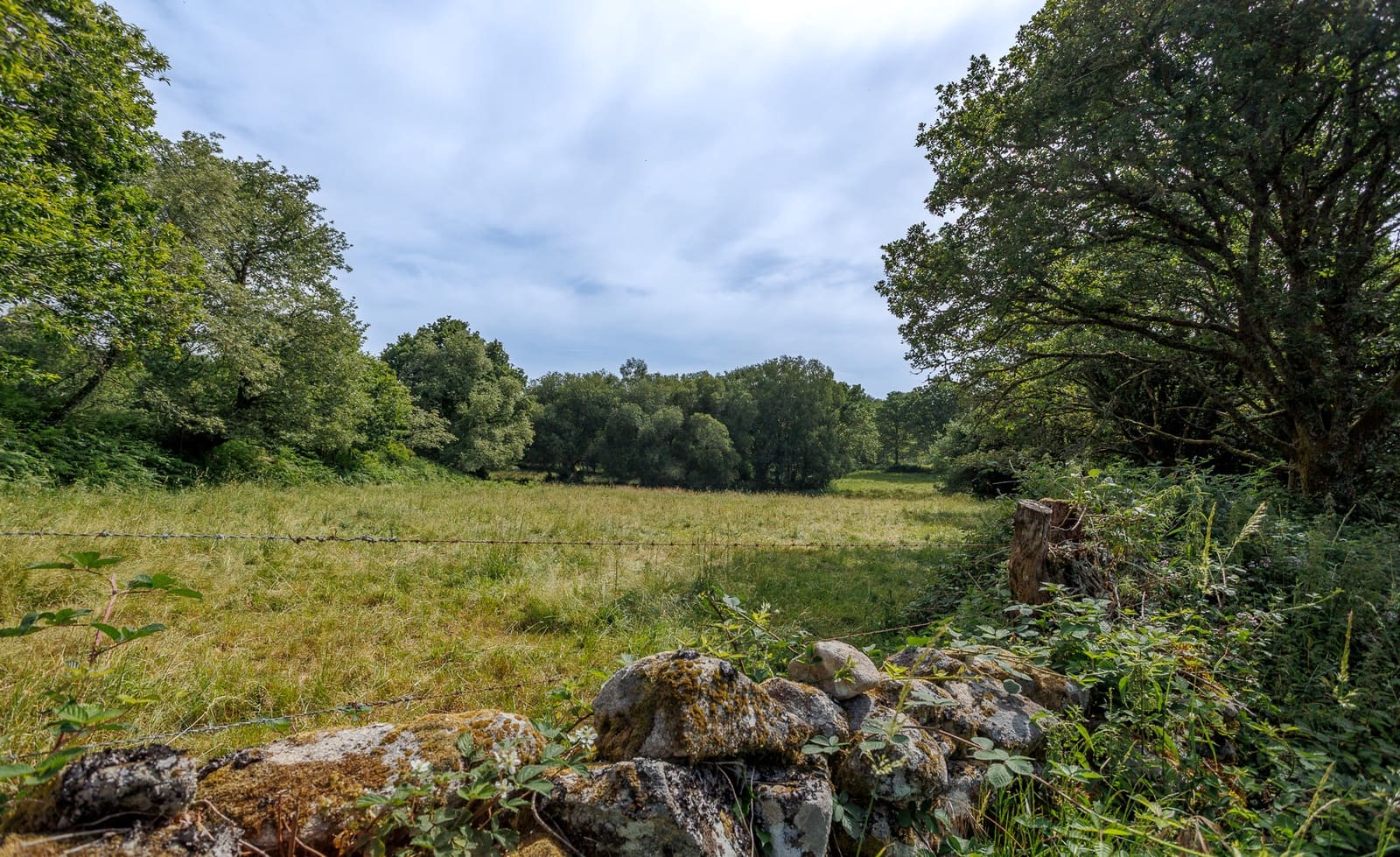 3 sovrum Finca/Hus på landet till salu i Parada de Sil - 85 000 € (Ref: 9999270)