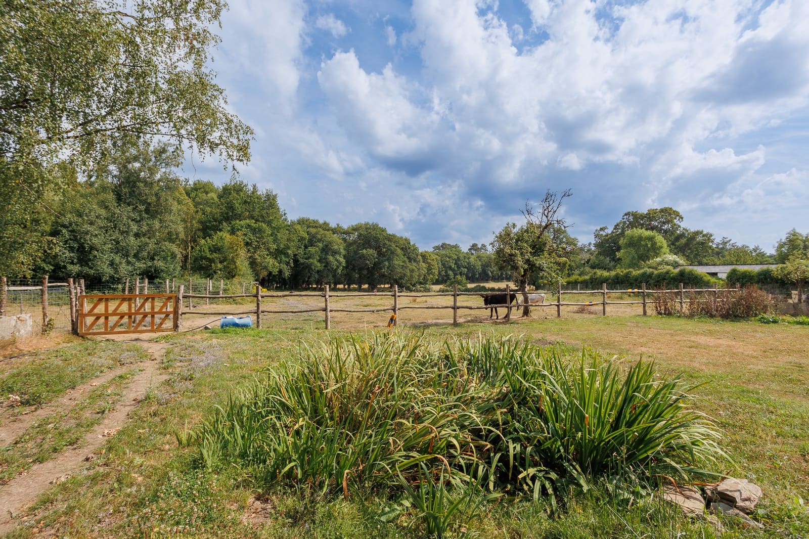 5 Zimmer Finca/Landgut zu verkaufen in Begonte mit Garage - 370.000 € (Ref: 9999365)