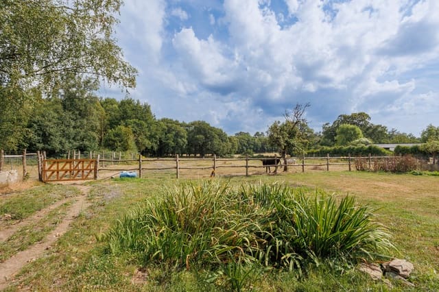 5 Zimmer Finca/Landgut zu verkaufen in Begonte mit Garage - 370.000 € (Ref: 9999365)