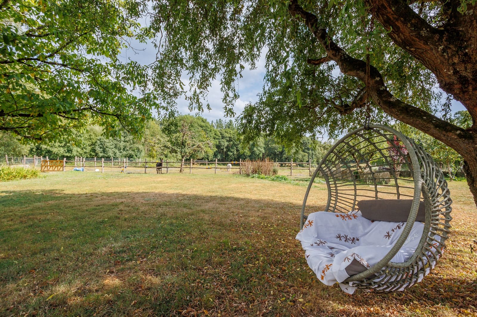 5 Zimmer Finca/Landgut zu verkaufen in Begonte mit Garage - 370.000 € (Ref: 9999365)