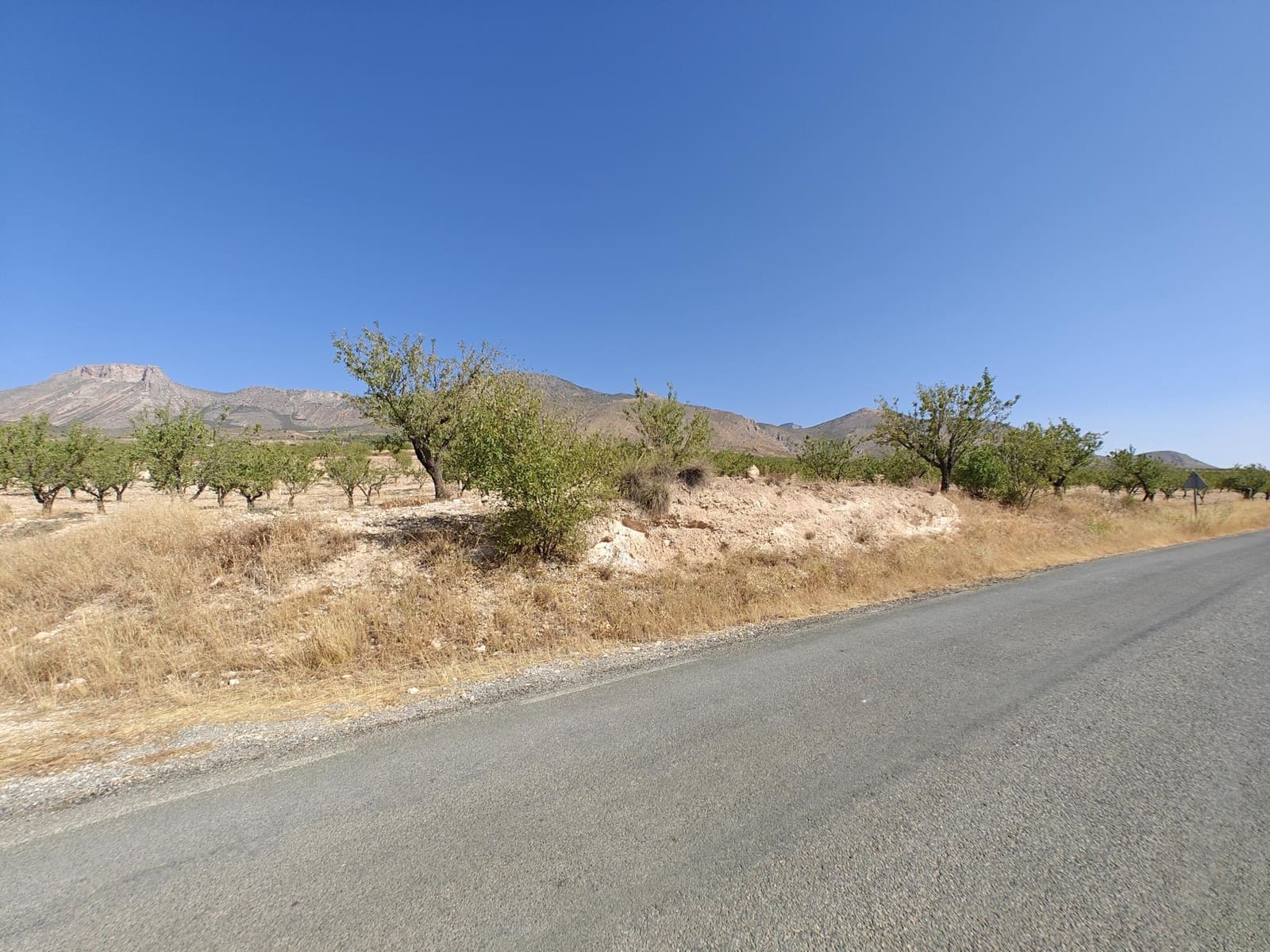Solar/Parcela en Lorca en venta - 99.000 € (Ref: 10168961)