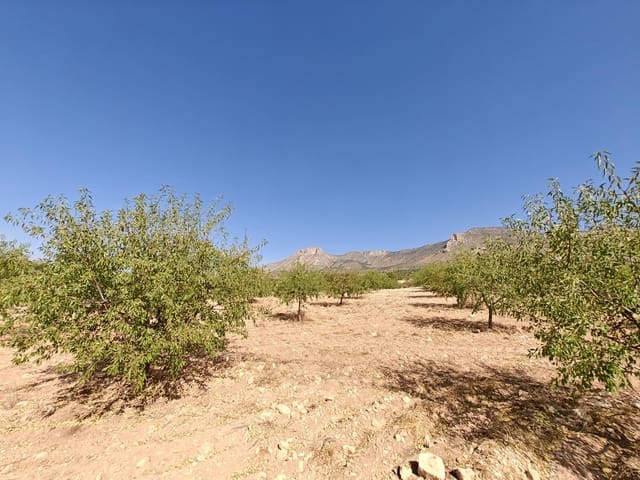 Byggetomt til salgs i Lorca - € 99 000 (Ref: 10168961)