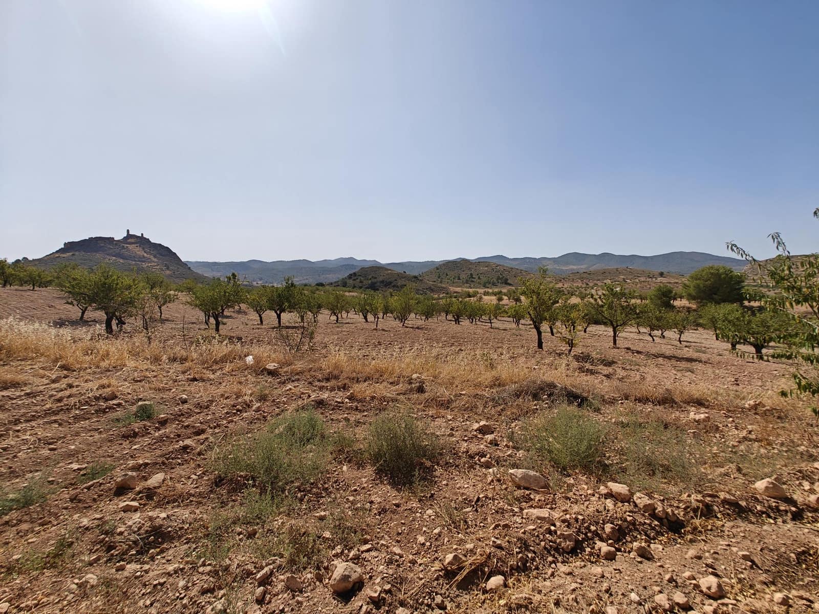 Solar/Parcela en Lorca en venta - 99.000 € (Ref: 10168961)