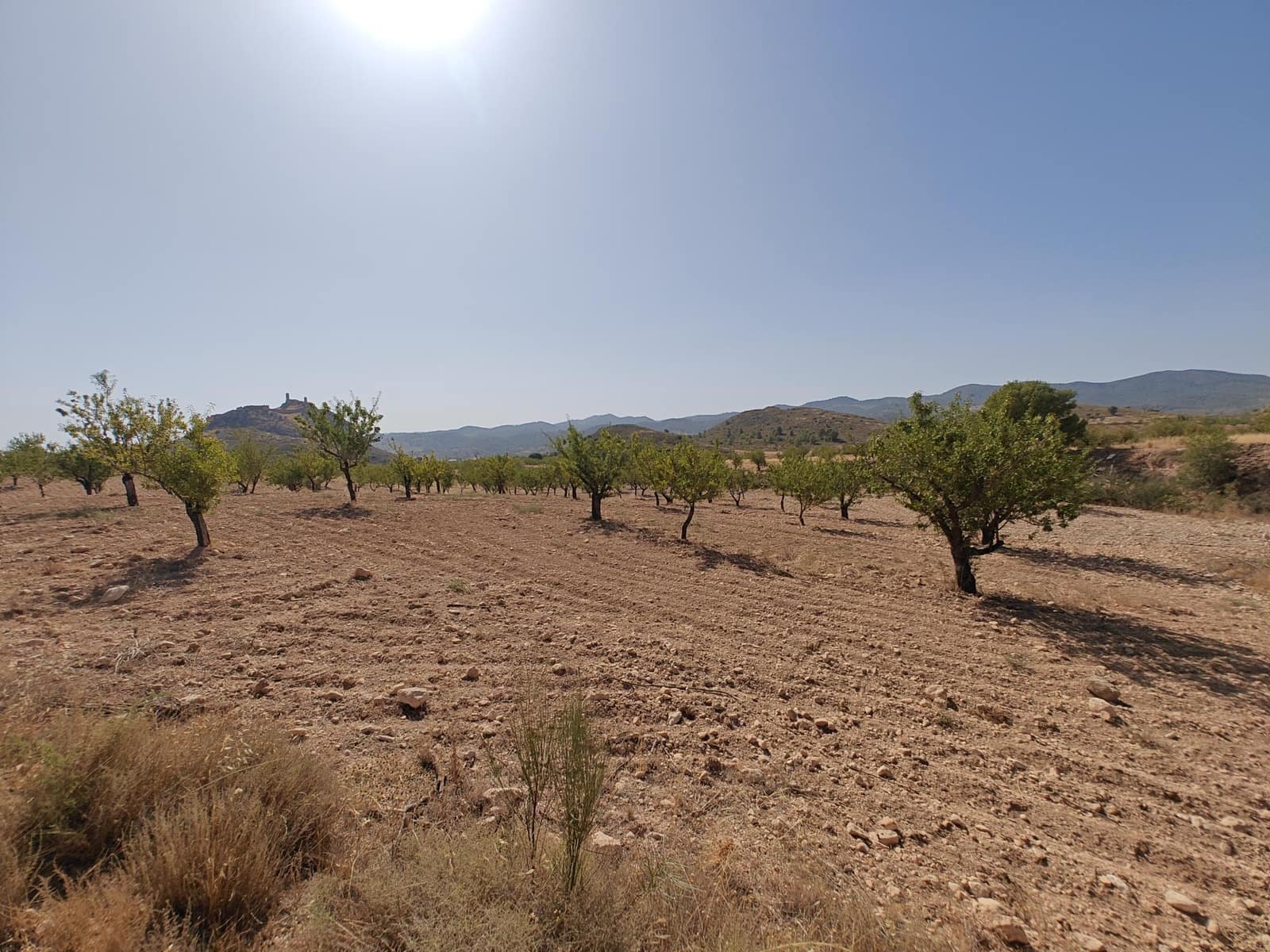 Solar/Parcela en Lorca en venta - 99.000 € (Ref: 10168961)