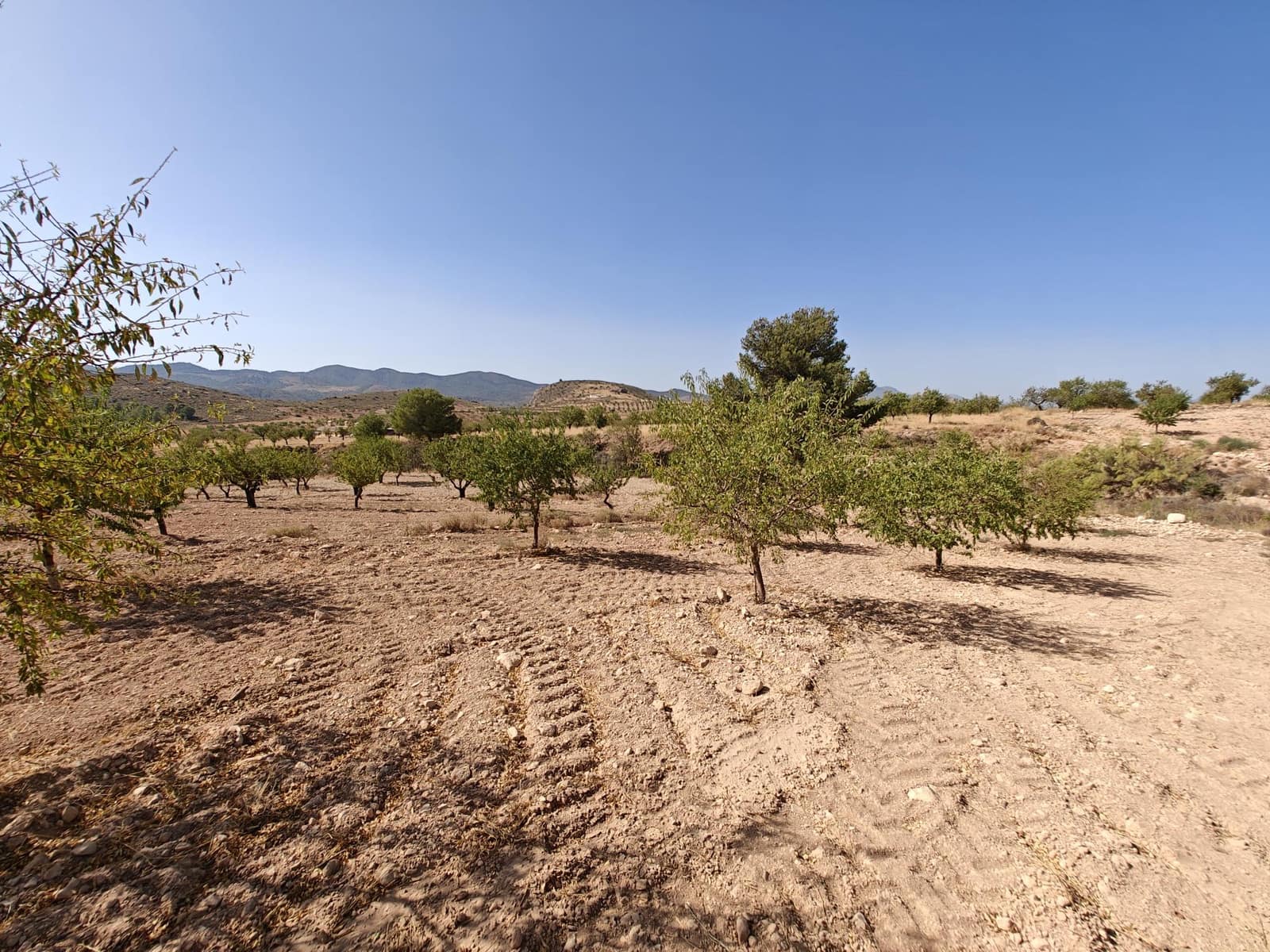 Solar/Parcela en Lorca en venta - 99.000 € (Ref: 10168961)